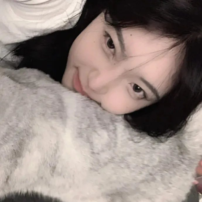 如果猫从世界上消失